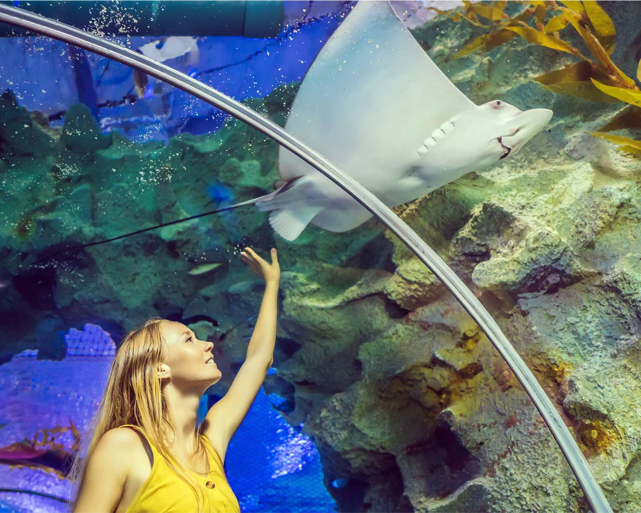 Free Ticketing for Aquariums