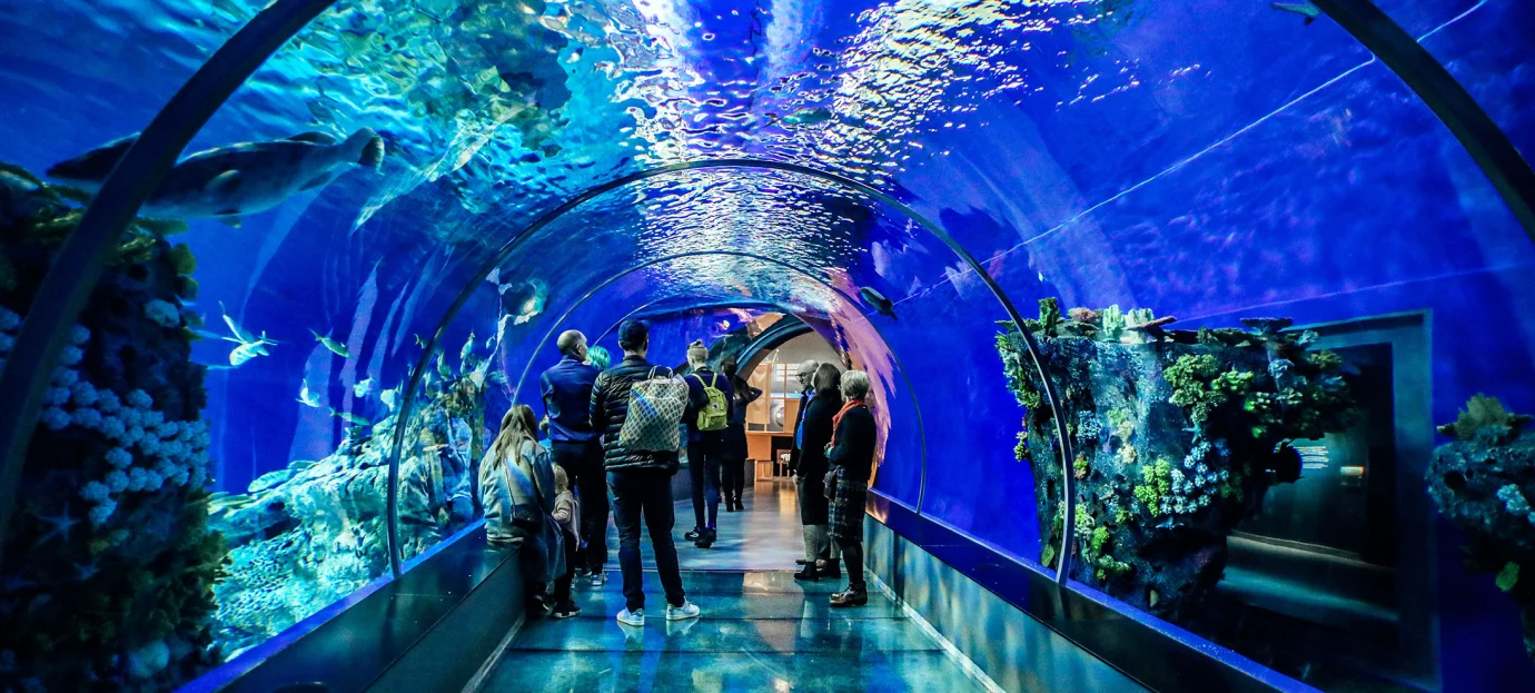 Ticketing System for Aquariums