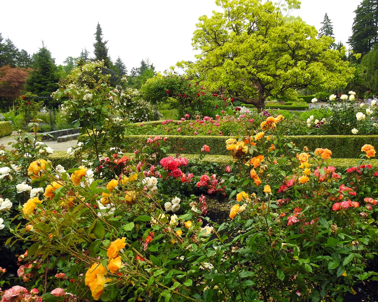 Increase ticket sales for botanical gardens