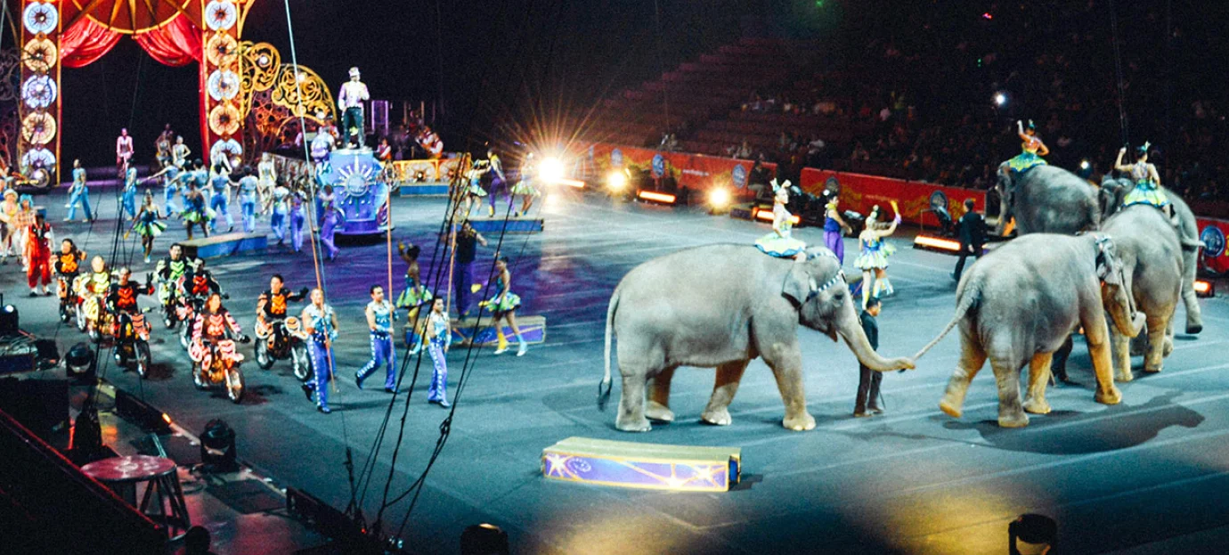 Ticketing System for Circuses
