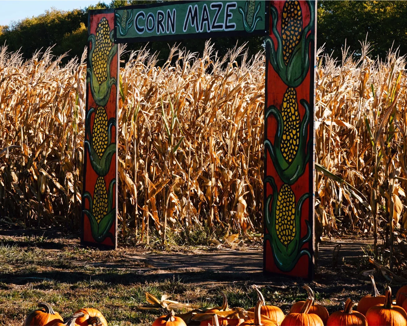 Free Ticketing for Pumpkin Patches