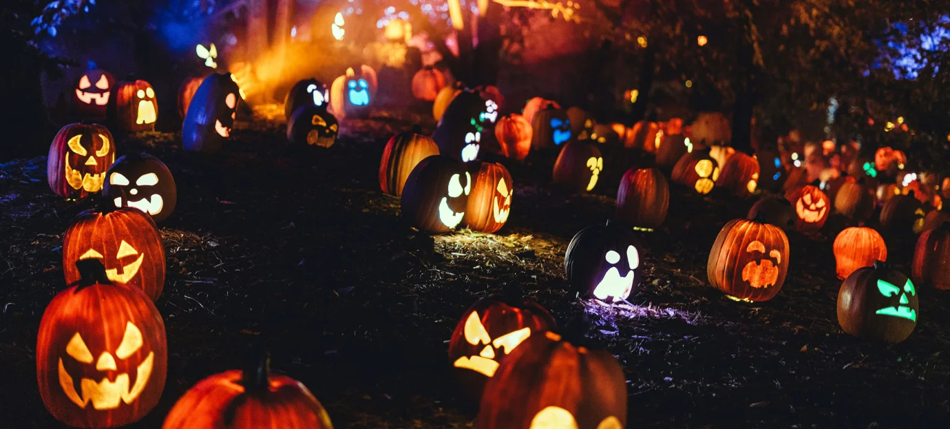 Ticketing System for Pumpkin Patches