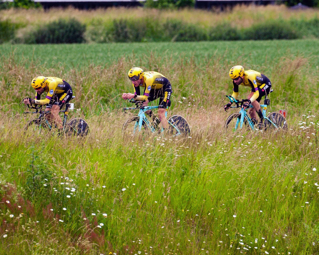 Increased ticket sales for races