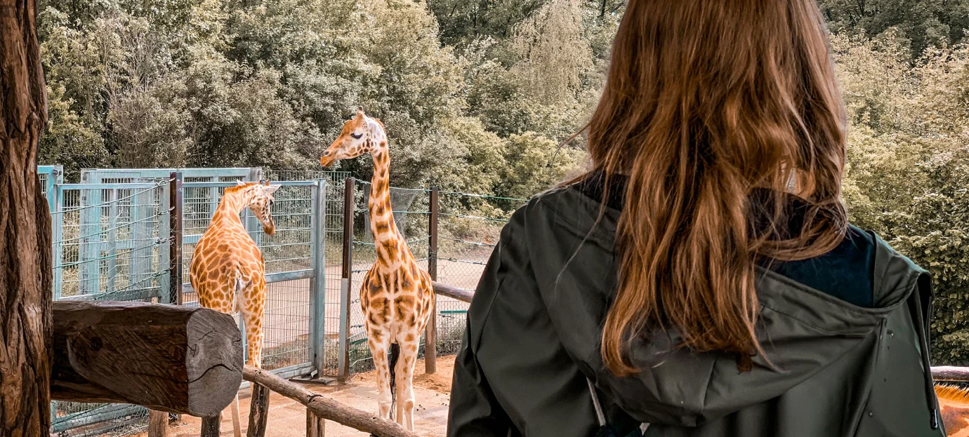 Ticketing System for Zoos