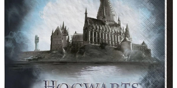 BUSTED CANVAS ART: Hogwarts Inspired Edition 🧹