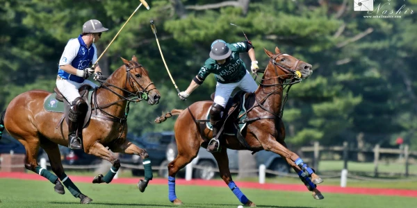 Bethpage Polo at the Park - June 29th