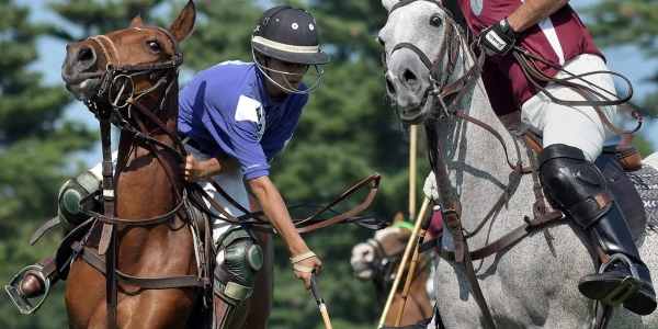 Bethpage Polo at the Park - June 22nd