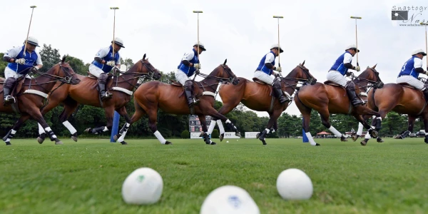 Bethpage Polo at the Park - August 17th