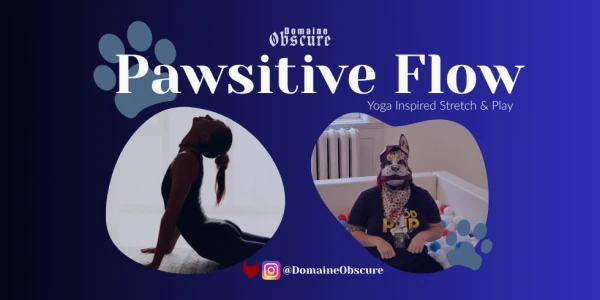 ‘Pawsitive’ Flow – Yoga Inspired Stretch & Play 3