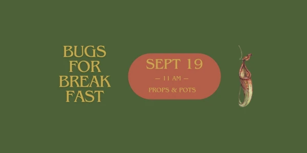 Bugs for Breakfast 🦟🩸